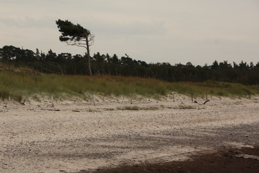 Ein meistens menschenleerer Weststrand - vor allem außerhalb der Ferien.