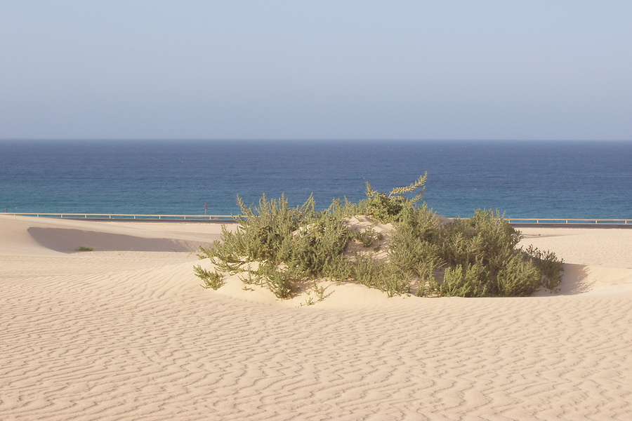 Der Strand liegt kilometerweit oft hinter der Straße